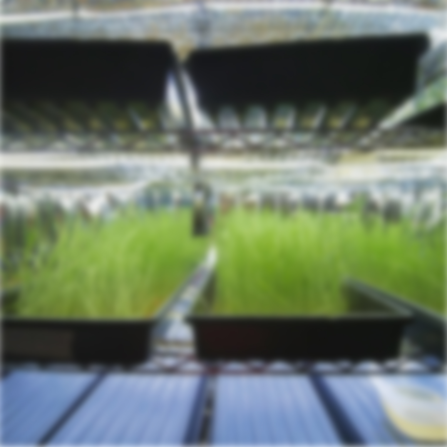 This doctor is also a farmer – from hobby to success