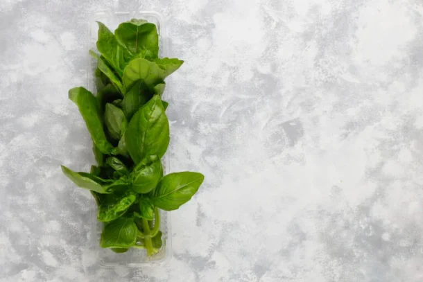 Basil Leaves