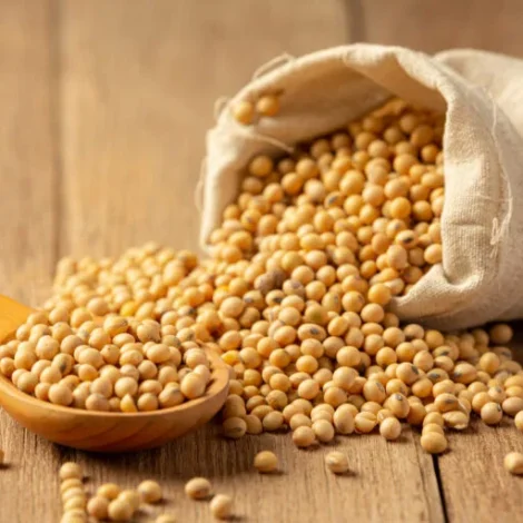 Soyabean