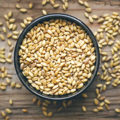 Wheat