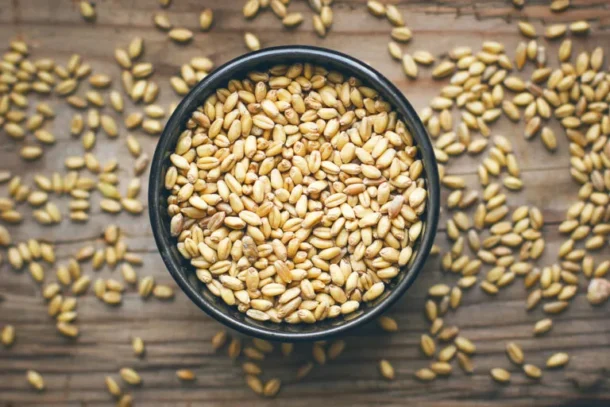 Wheat