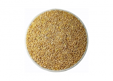 Yellow Millet (Kangni)